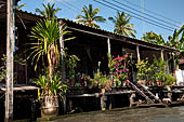 Scenery along the canal leading to Damnoen Saduak Floating Market. 